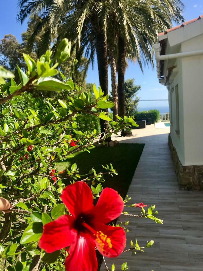 Villa Denia Costa Blanca Zewnętrze zdjęcie