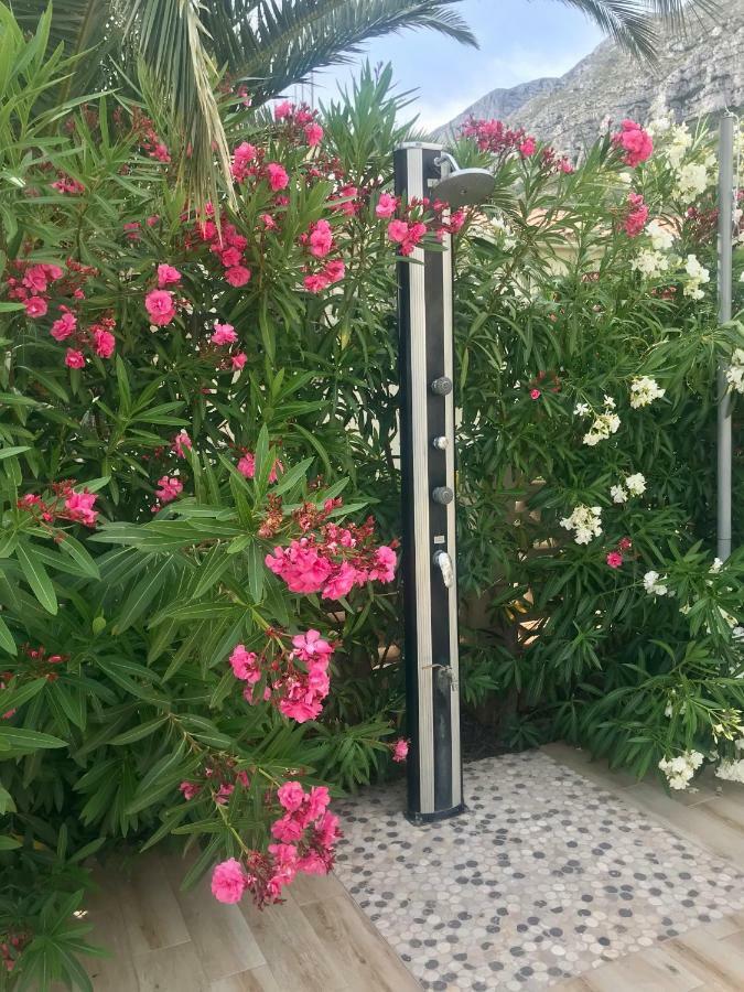 Villa Denia Costa Blanca Zewnętrze zdjęcie