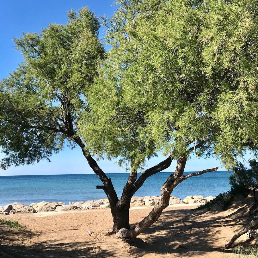 Villa Denia Costa Blanca Zewnętrze zdjęcie